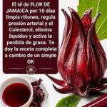 9a032644-f79d-44cd-b0bb-cfbe8e2a981d